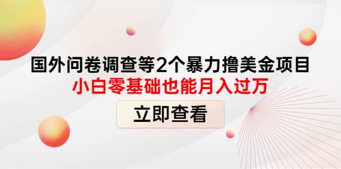 国外问卷调查等2个暴力撸美元项目，小白零基础也能月入过万网创吧-网创项目资源站-副业项目-创业项目-搞钱项目网创吧