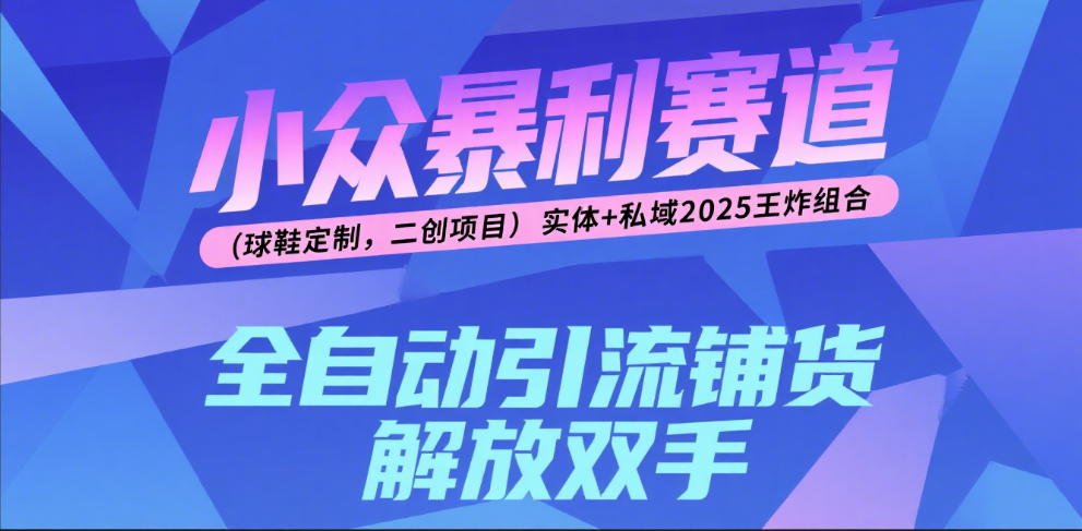 楠—小众暴利赛道（球鞋定制，二创项目）实体+私域2025王炸组合网创吧-网创项目资源站-副业项目-创业项目-搞钱项目网创吧