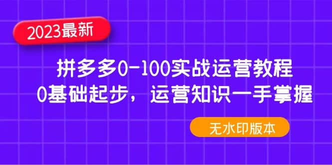 2023拼多多0-100实战运营教程,0基础起步,运营知识一手掌握(无水印)网创吧-网创项目资源站-副业项目-创业项目-搞钱项目网创吧