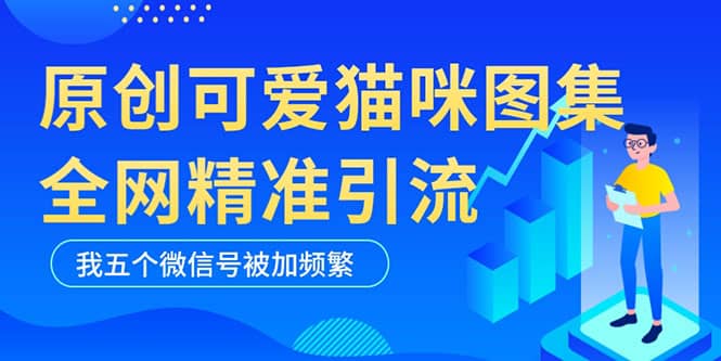 黑科技纯原创可爱猫咪图片,全网精准引流,实操5个VX号被加频繁网创吧-网创项目资源站-副业项目-创业项目-搞钱项目网创吧