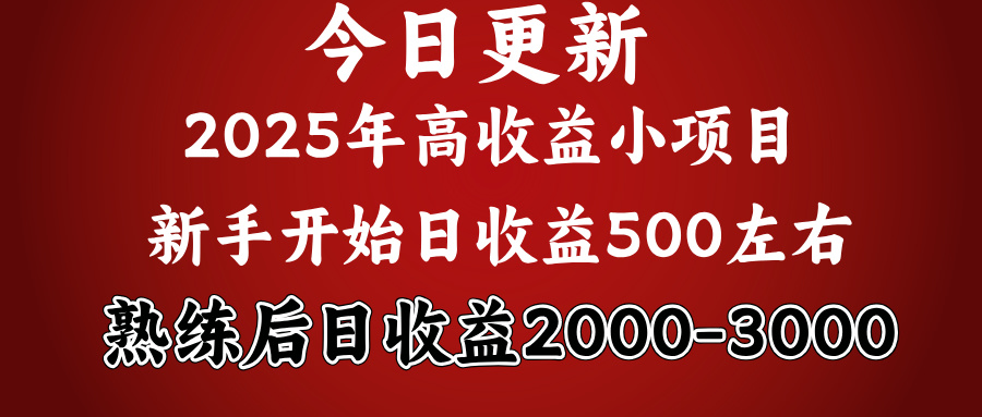 2025开年好项目,新手日收益500+ 熟练掌握后,日收益平均2000多网创吧-网创项目资源站-副业项目-创业项目-搞钱项目网创吧