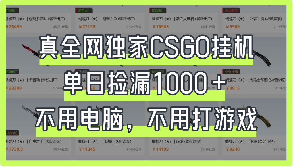 真全网独家CSGO挂机，单日捡漏1000+网创吧-网创项目资源站-副业项目-创业项目-搞钱项目网创吧