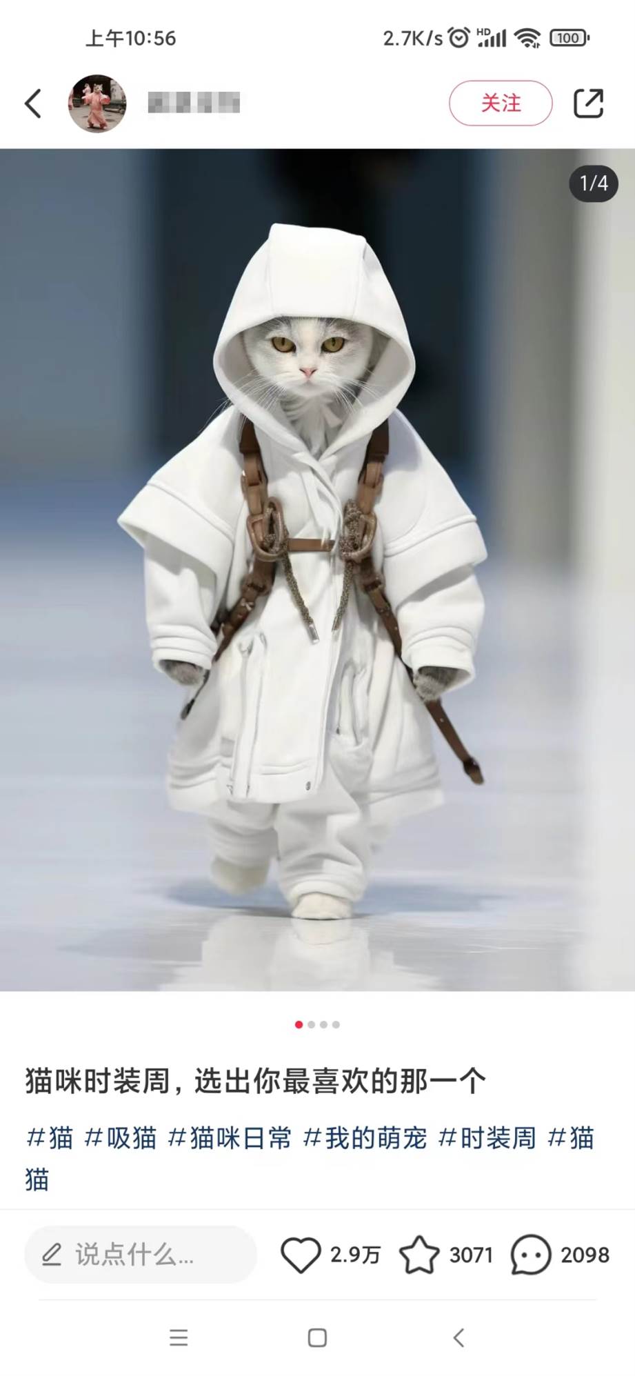 适合小白 宝妈 上班族 大学生互联网兼职 小红书爆款项目Animal秀，月入1W网创吧-网创项目资源站-副业项目-创业项目-搞钱项目网创吧